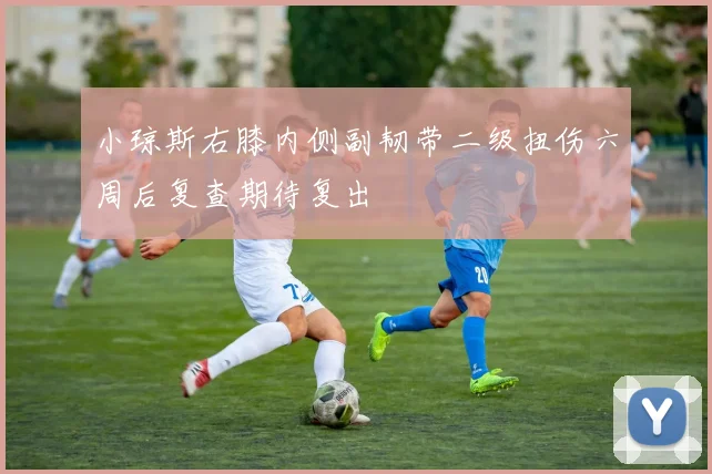 小琼斯右膝内侧副韧带二级扭伤六周后复查期待复出