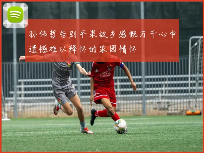 孙伟哲告别平果故乡感慨万千心中遗憾难以释怀的家园情怀